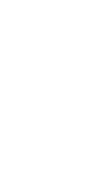 夜のおすすめ！